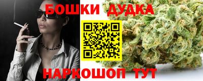 дмт Обь