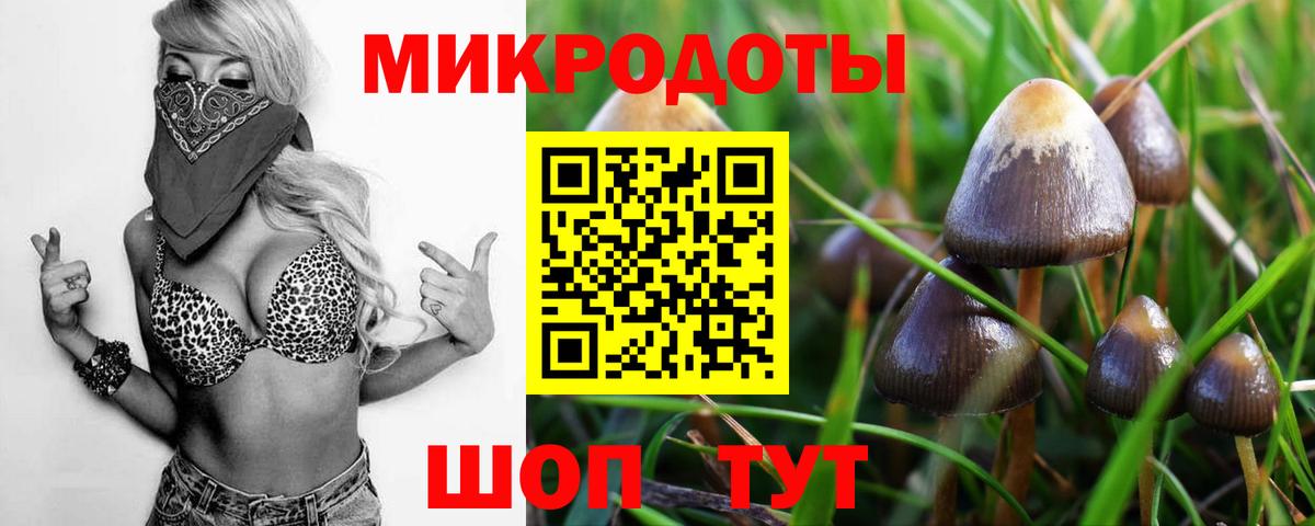 Галлюциногенные грибы Psilocybe Серов